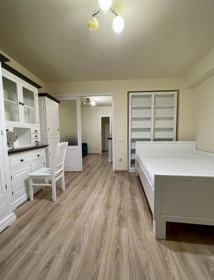 קלוז'-נאפוקה Cozy Central One Bedroom מראה חיצוני תמונה